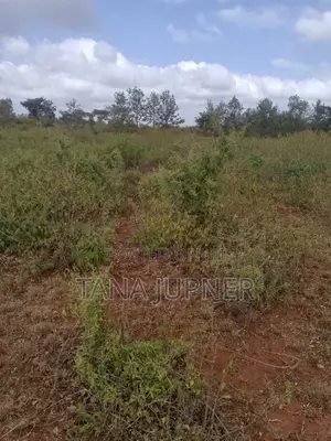 1/8 Acre Plots for Sale Mavoloni