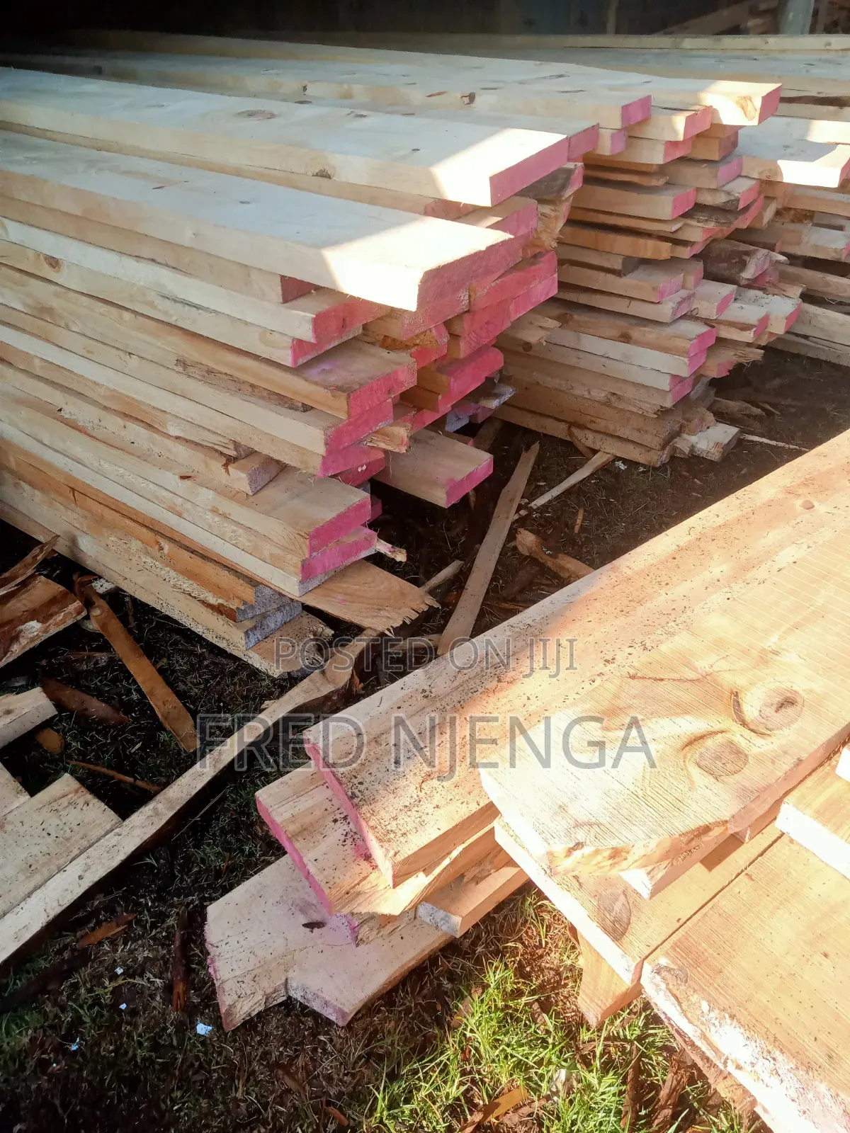 Cypress Pine Timber