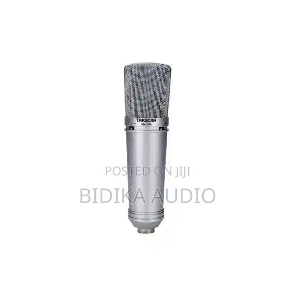 Takstar SM-10B Condenser Microphone