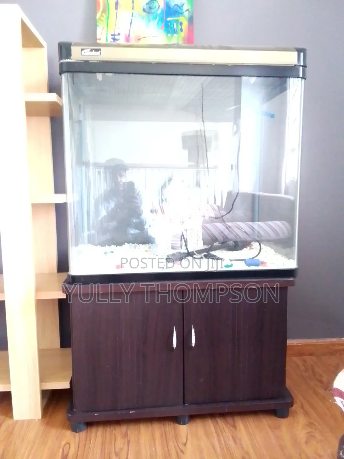 Fish Aquarium