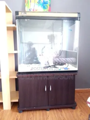 Fish Aquarium