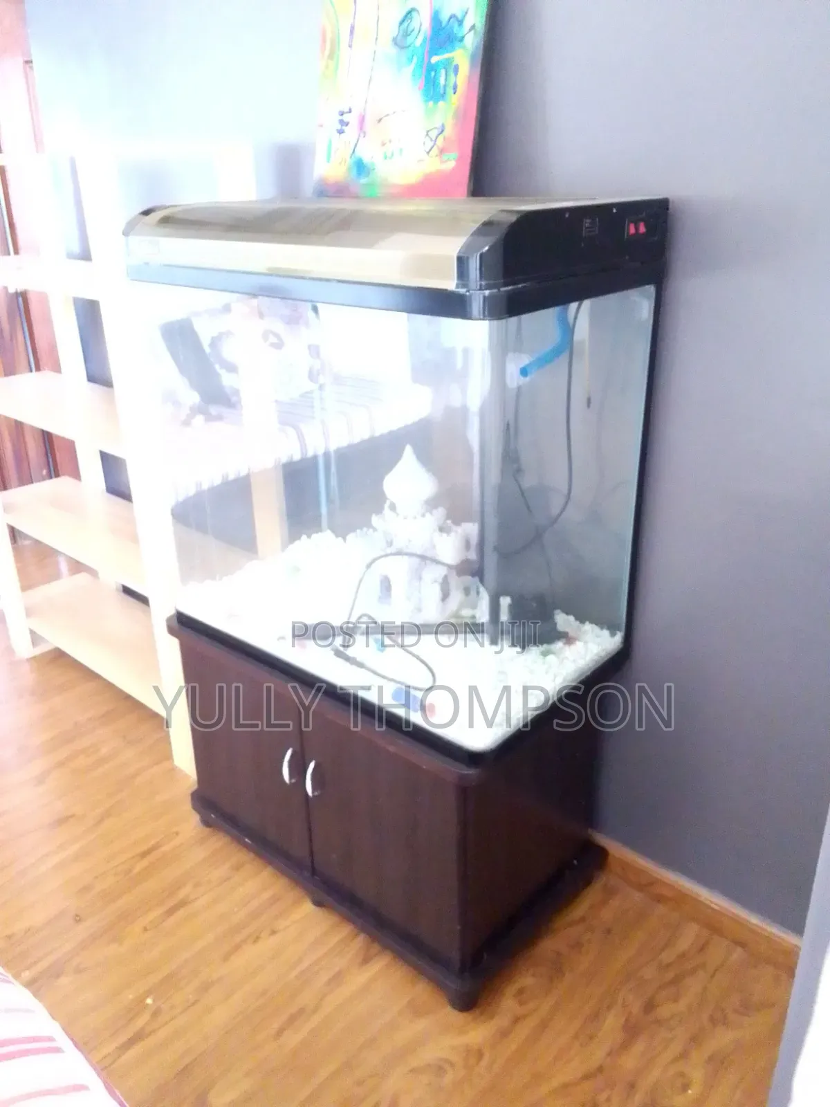 Fish Aquarium