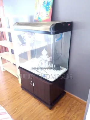 Fish Aquarium