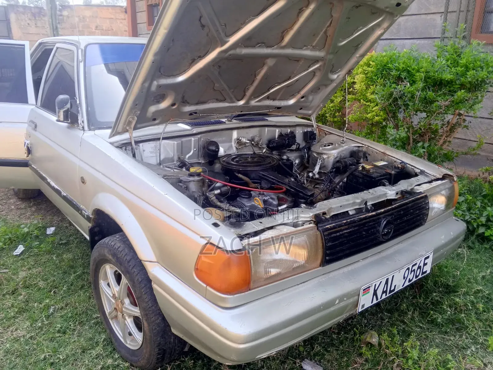 Nissan Sunny 1989 Gray