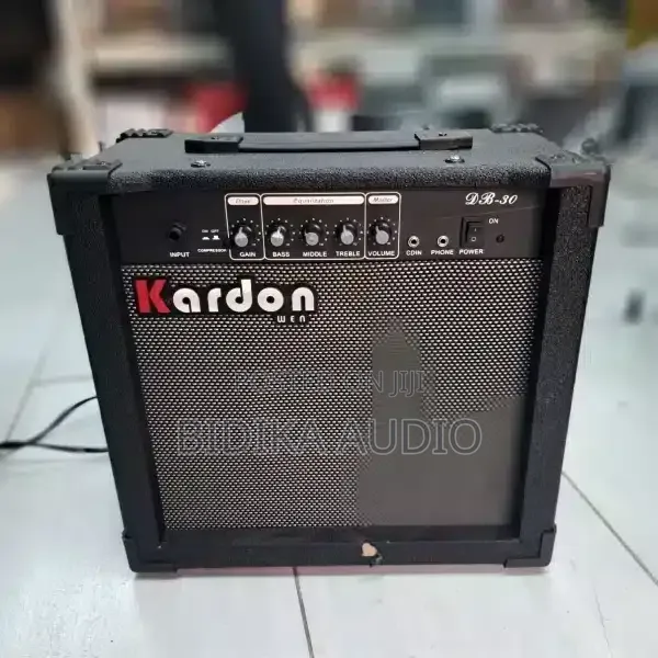Kardon DB30 Mini Guitar Combo