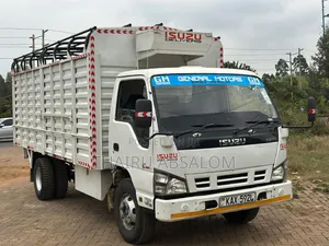 Isuzu NPR 2006 White