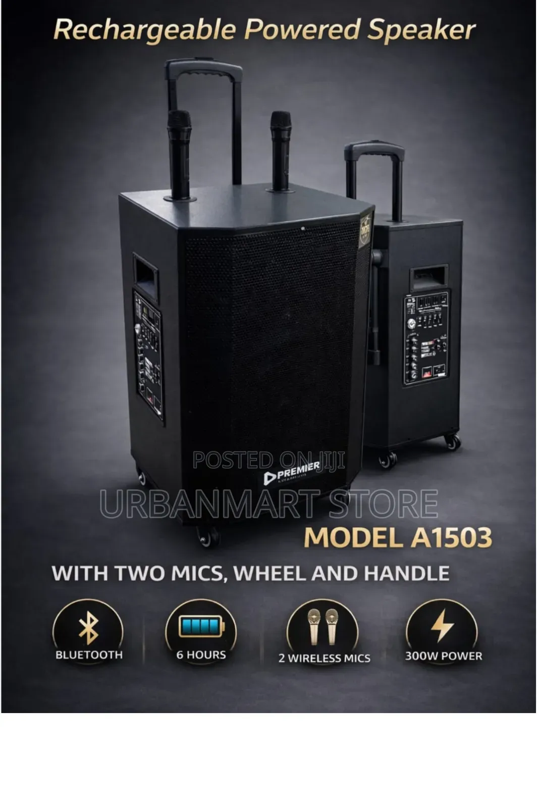 Premier 15 Inches 300W Rechargeable Trolley Party Speaker,2 Mics