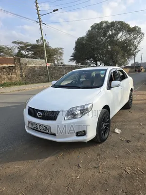 Toyota Axio 2010 White