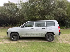 Toyota Probox 2019 Silver