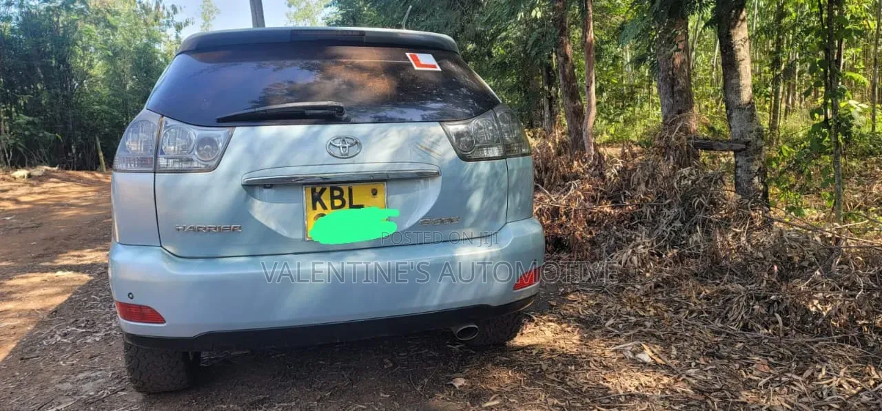 Toyota Harrier 2004 Silver