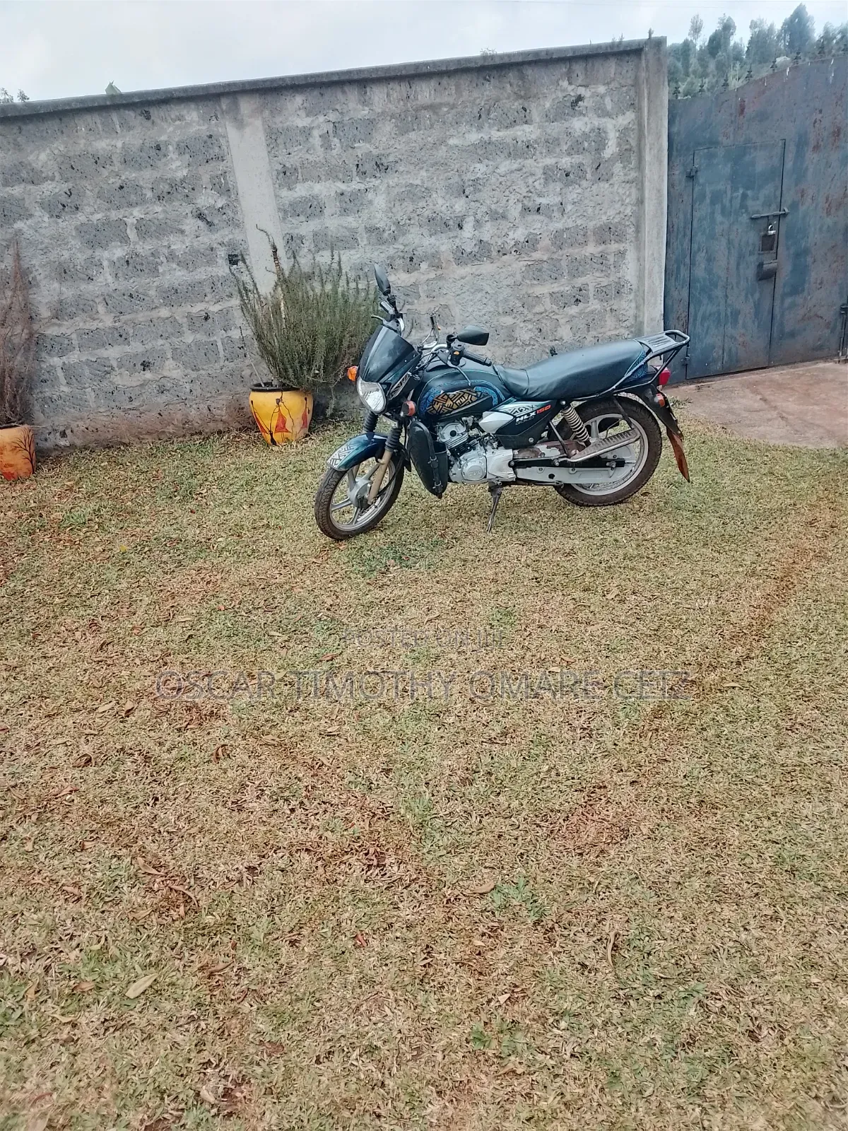 TVS HLX Plus ES 2025 Gold