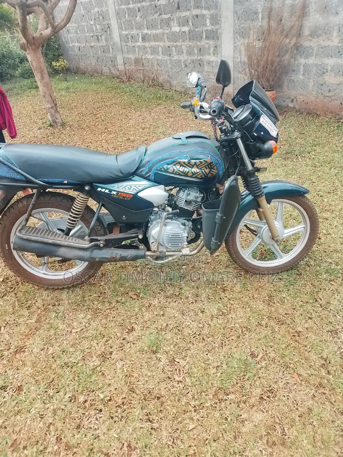 TVS HLX Plus ES 2025 Gold