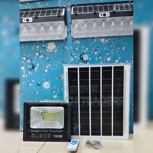 100W Budget Solar Floodlight/ Solar Lamp