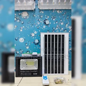 60W Budget Solar Floodlight