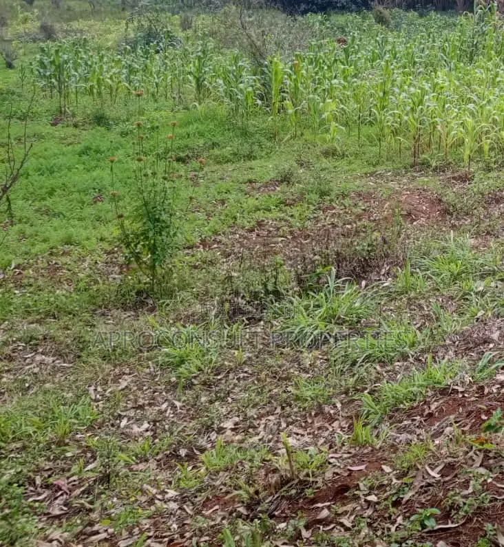 Plot for Sale Thome-Marurui Very Prime Ksh. 6.5M