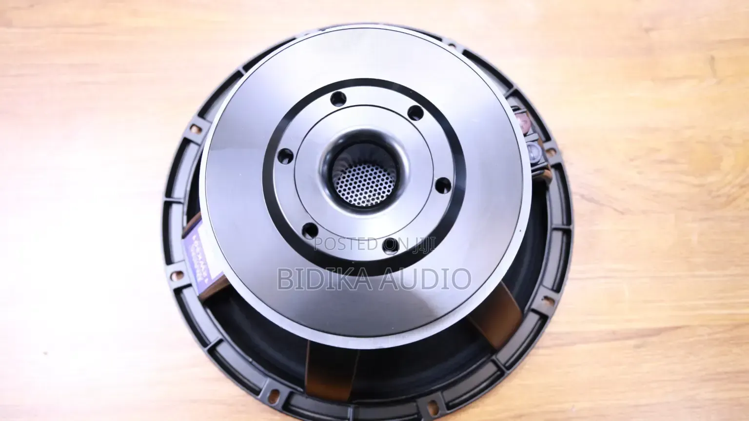 Derwel Precision 12WK301 12-Inch Naked Speaker