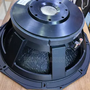 Derwel PD1880H 18-Inch Naked Speaker – 1800W 8 Ohms