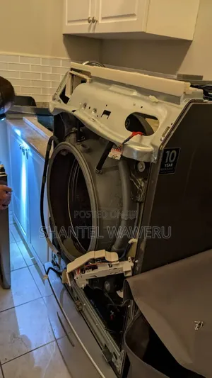 LG Thinkq Washing Machine Repair.