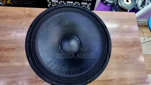 Derwel 15TBW76 15-Inch Professional Loudspeaker (Naked Speaker) – 600w