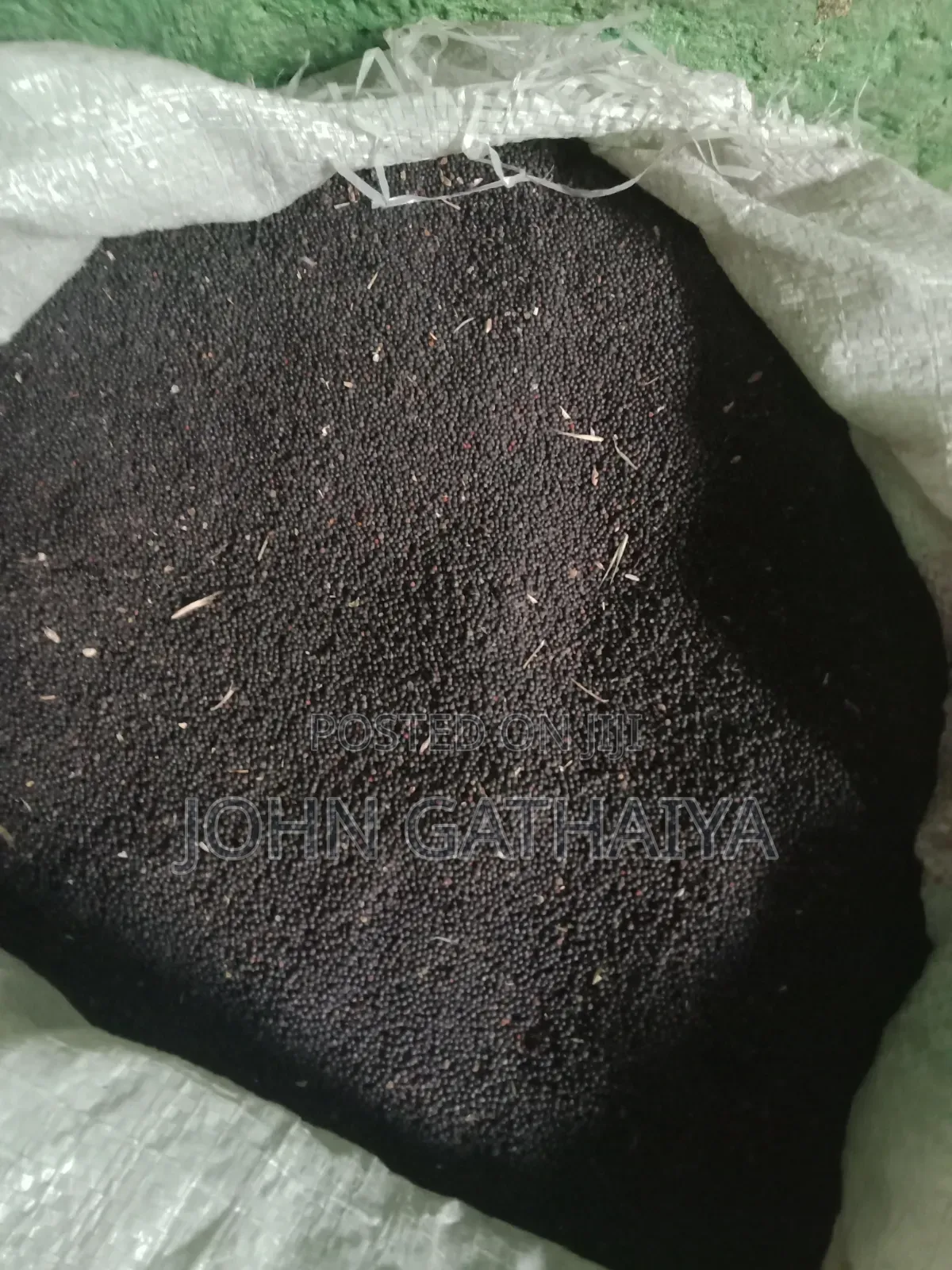 Canula Seeds