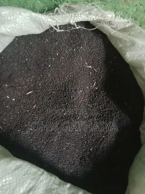 Canula Seeds