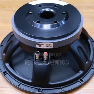 Derwel 12DL202 12-Inch Professional Loudspeaker