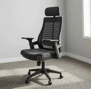Ergonomic Executive Office Chair : Orthopedic Staff Chair