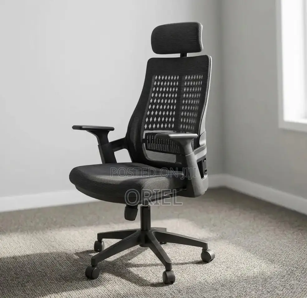 Ergonomic Executive Office Chair : Orthopedic Staff Chair