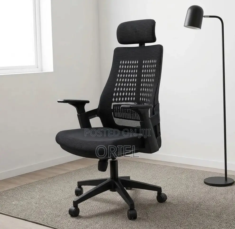 Ergonomic Executive Office Chair : Orthopedic Staff Chair