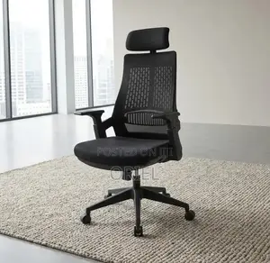 Ergonomic Executive Office Chair : Orthopedic Staff Chair
