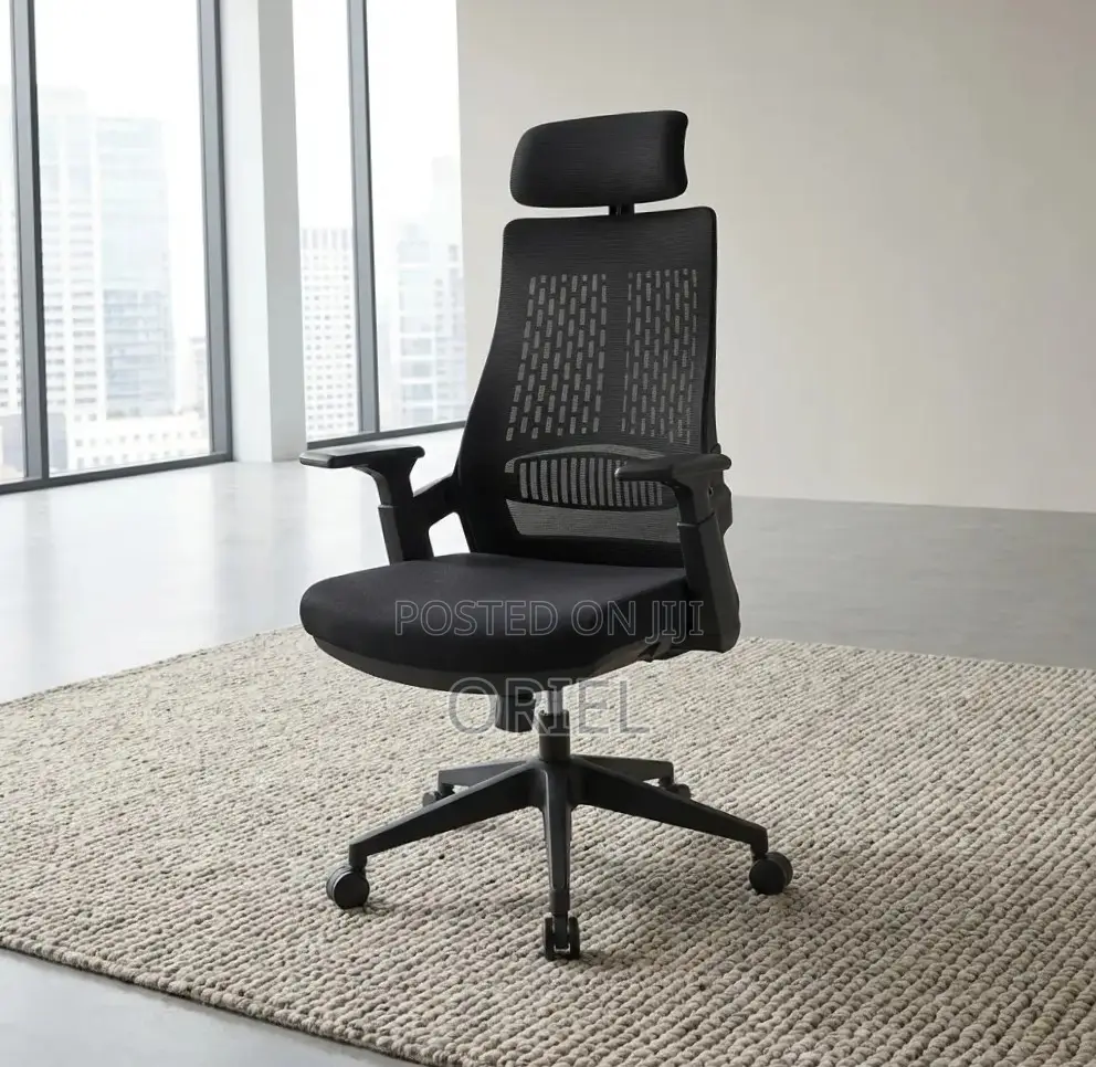 Ergonomic Executive Office Chair : Orthopedic Staff Chair