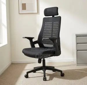 Ergonomic Executive Office Chair : Orthopedic Staff Chair