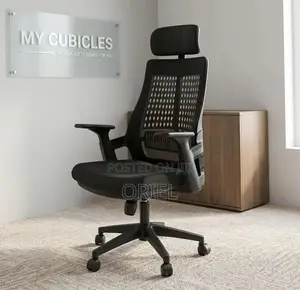 Ergonomic Executive Office Chair : Orthopedic Staff Chair