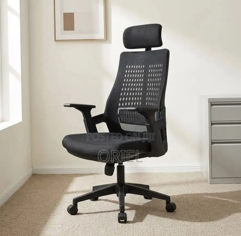 Ergonomic Executive Office Chair : Orthopedic Staff Chair