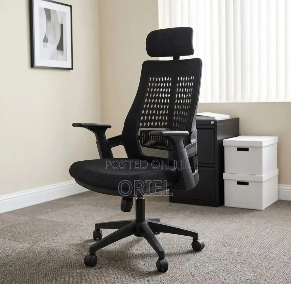 Ergonomic Executive Office Chair : Orthopedic Staff Chair