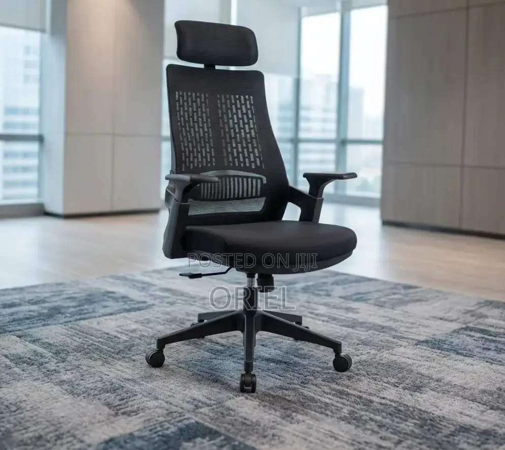 Ergonomic Executive Office Chair : Orthopedic Staff Chair