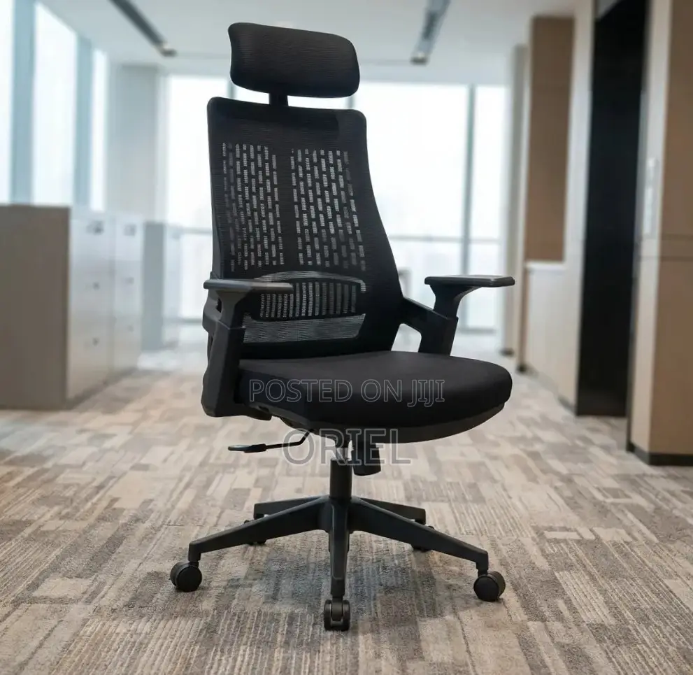 Ergonomic Executive Office Chair : Orthopedic Staff Chair