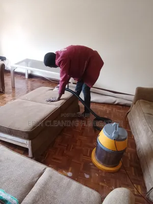 Deep Sofa Cleaning Stain Removing