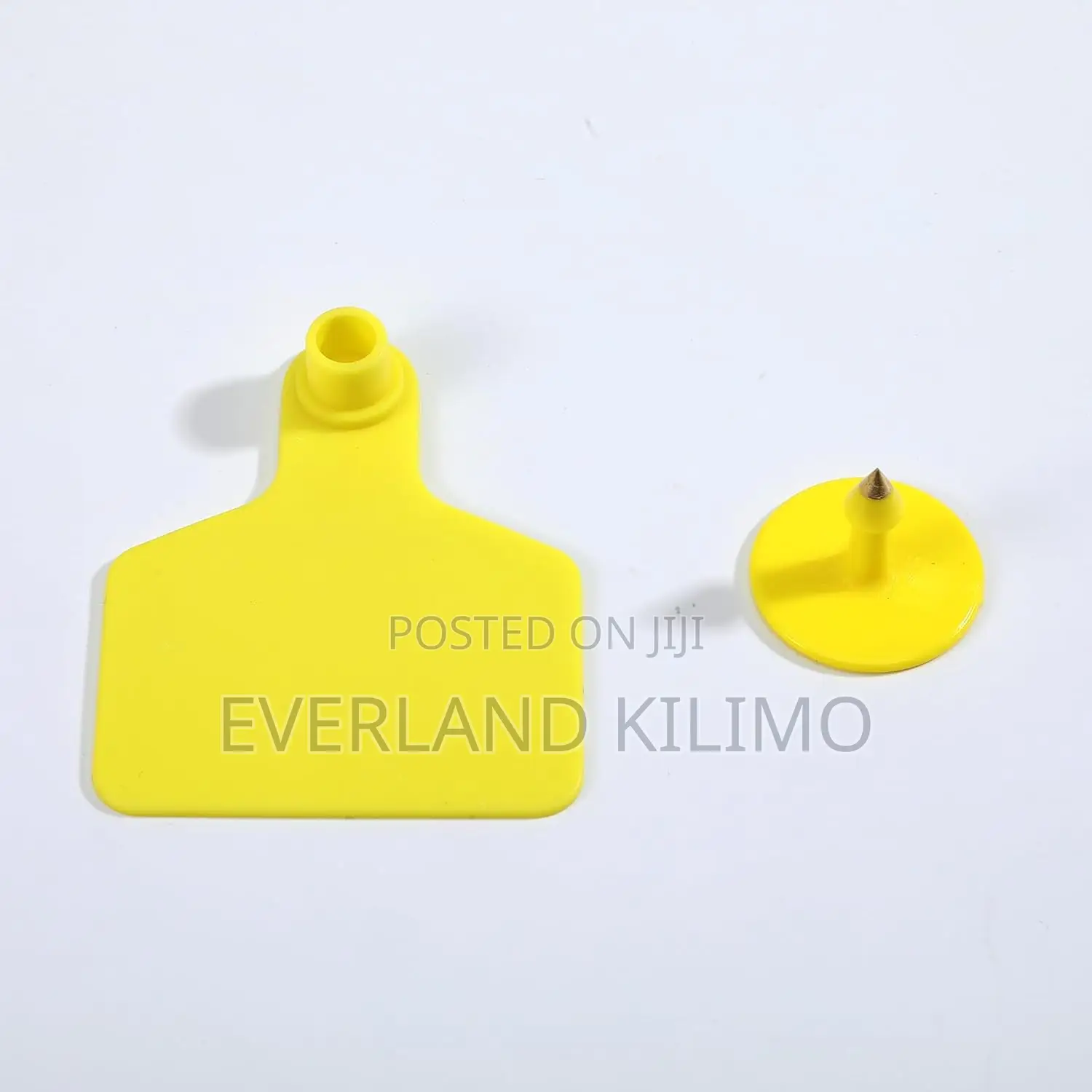 Large Plain Ear Tags for Character Identification