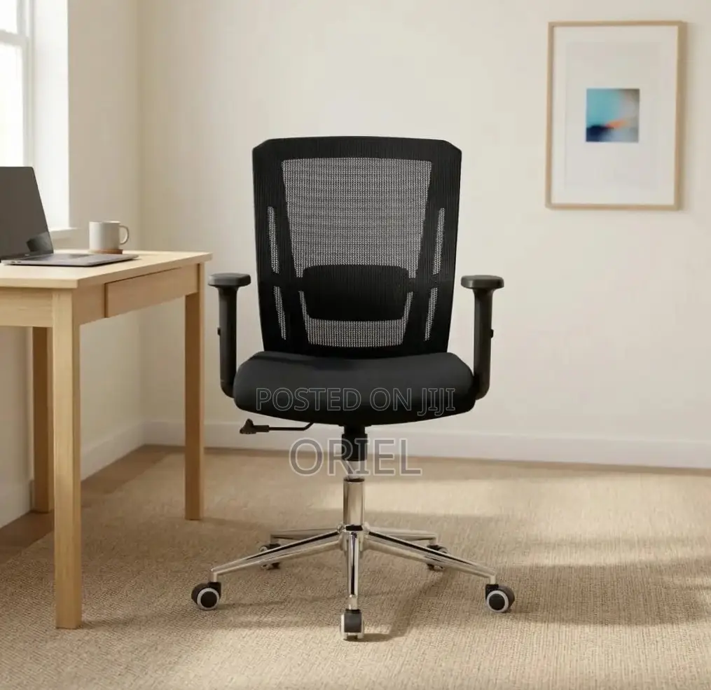 Mid Back Orthopedic Mesh Chair : Modern Swivel Chair