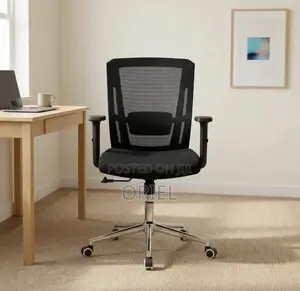 Mid Back Orthopedic Mesh Chair : Modern Swivel Chair