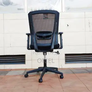 Mid Back Orthopedic Mesh Chair : Modern Swivel Chair