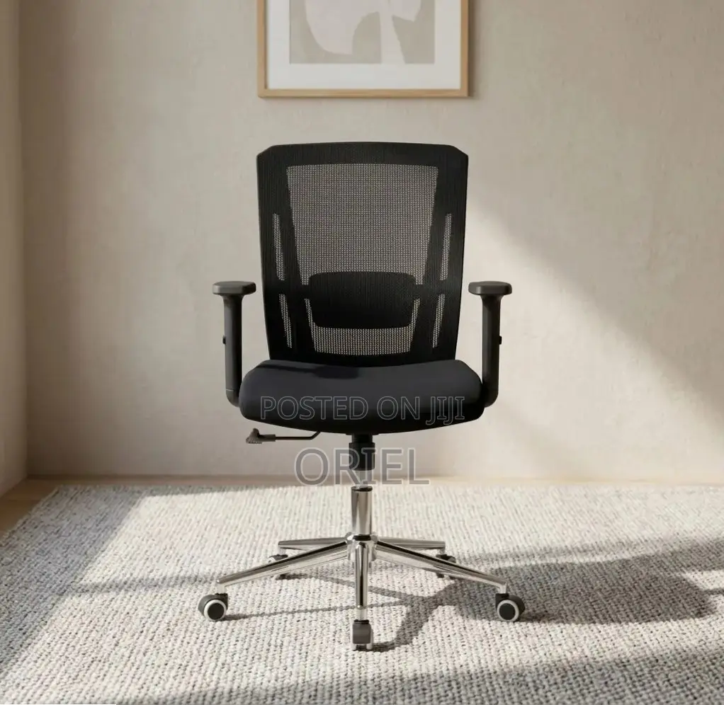 Mid Back Orthopedic Mesh Chair : Modern Swivel Chair
