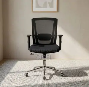 Mid Back Orthopedic Mesh Chair : Modern Swivel Chair