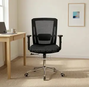 Mid Back Orthopedic Mesh Chair : Modern Swivel Chair