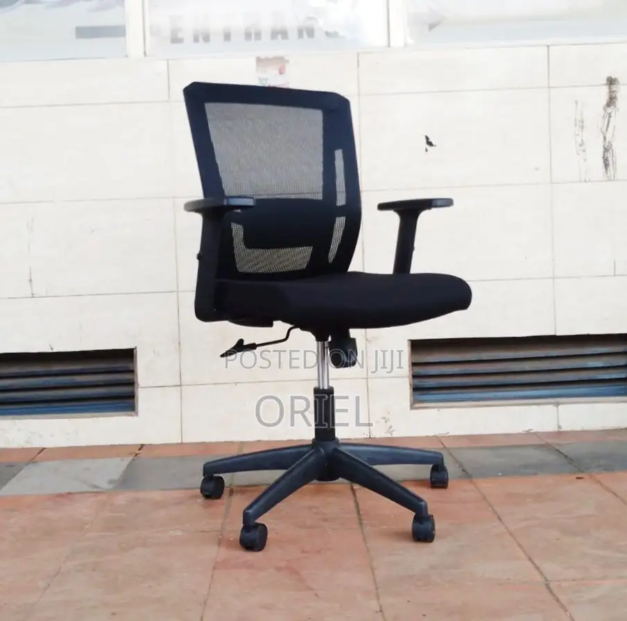 Mid Back Orthopedic Mesh Chair : Modern Swivel Chair