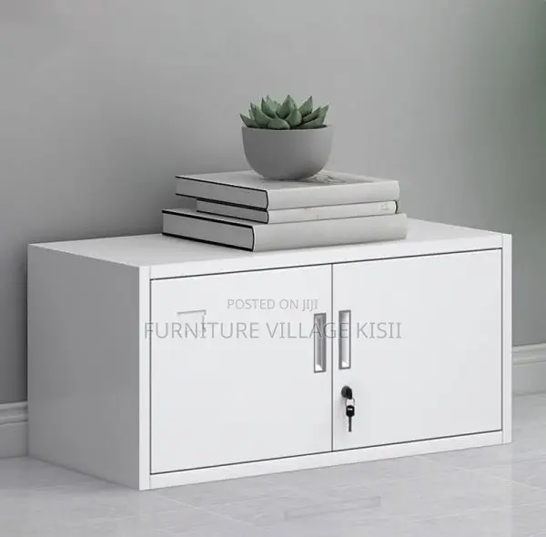 Office Locker; 2-Door Storage Cabinet