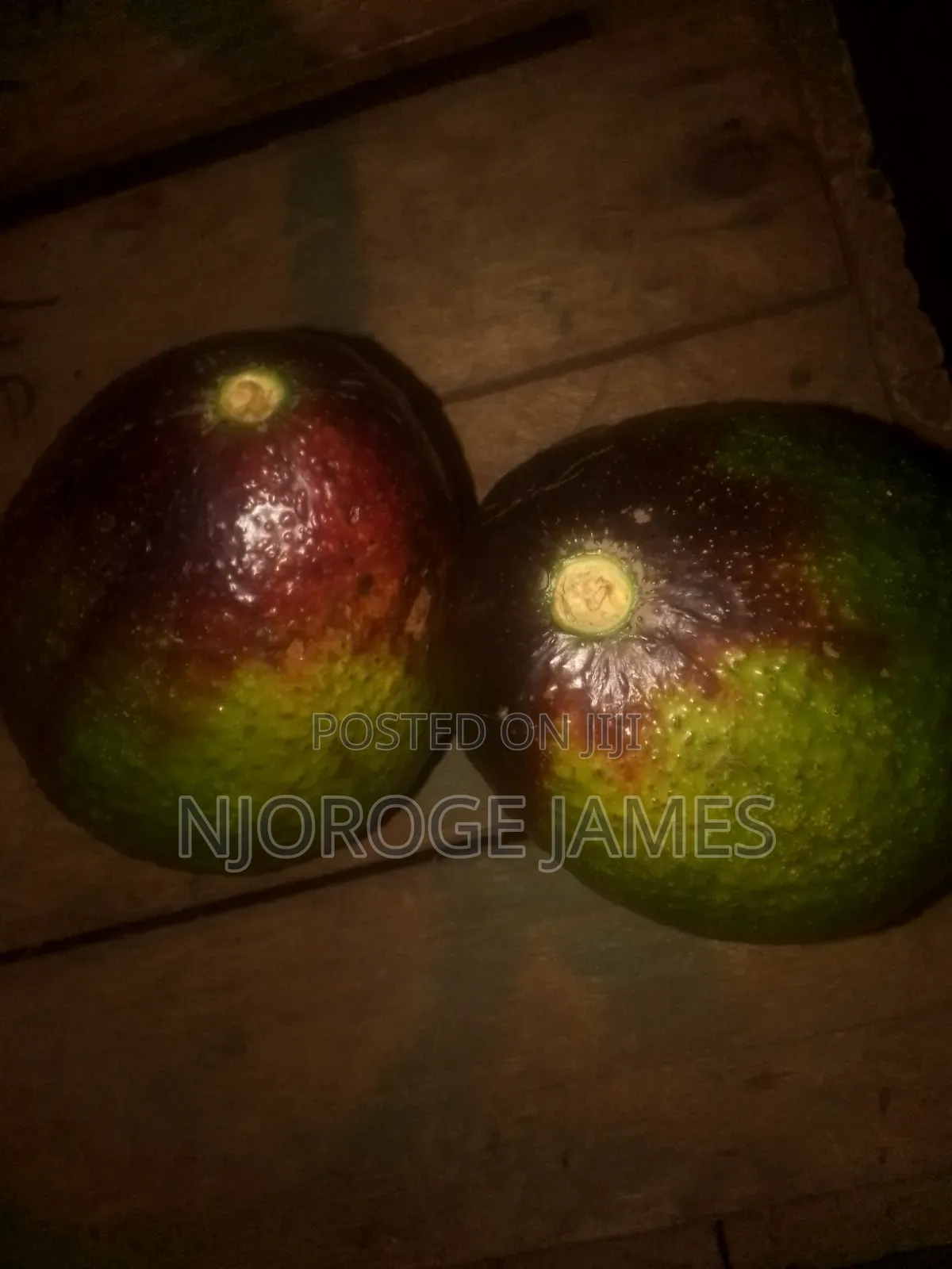 Fresh Ovacodo From the Farm