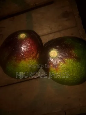Fresh Ovacodo From the Farm