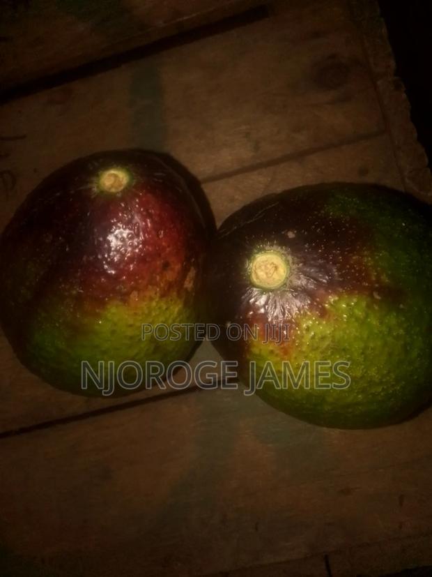 Fresh Ovacodo From the Farm